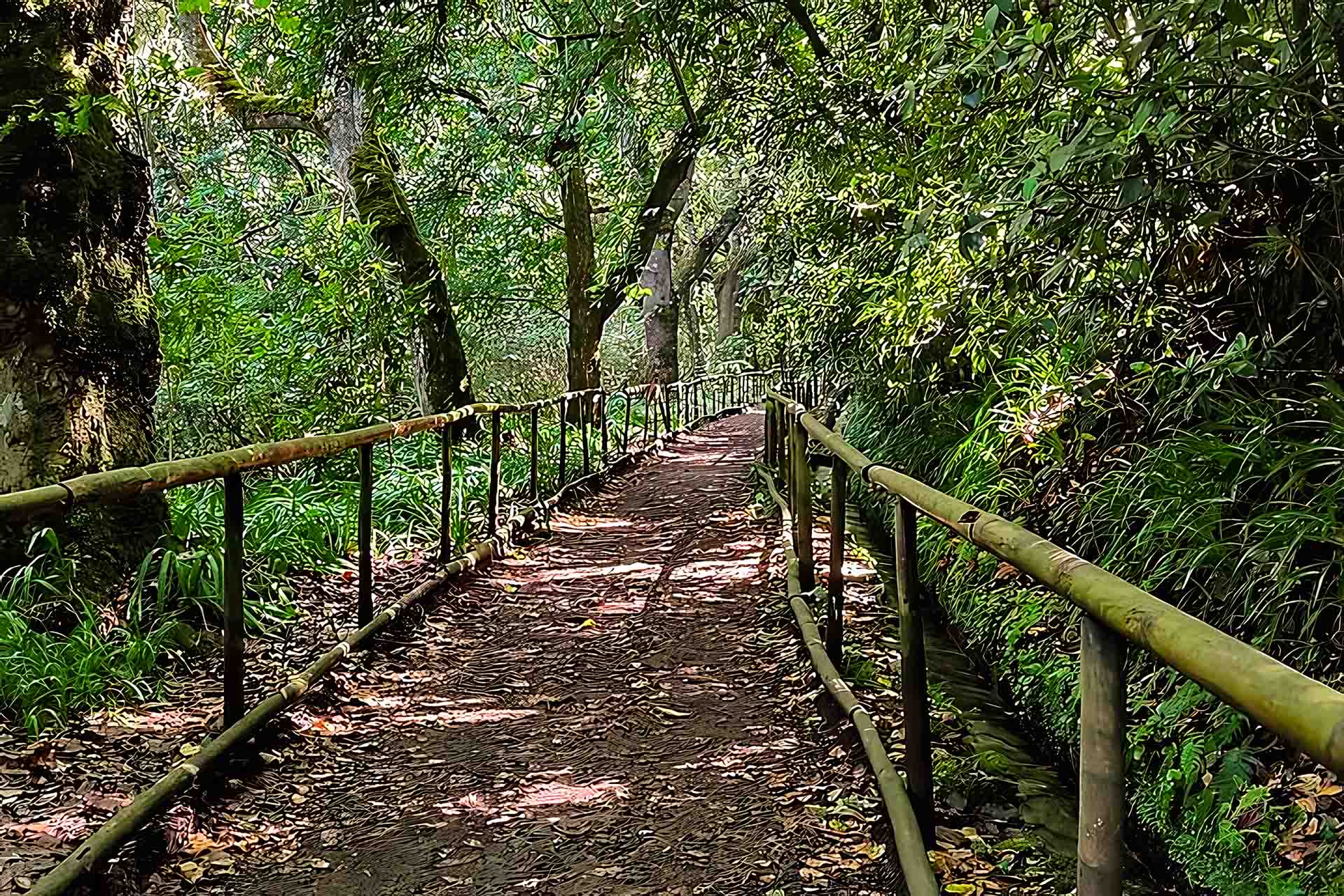 Dark tunnel section on levada trail PR9 Caldeirão Verde Madeira with headlamp visible