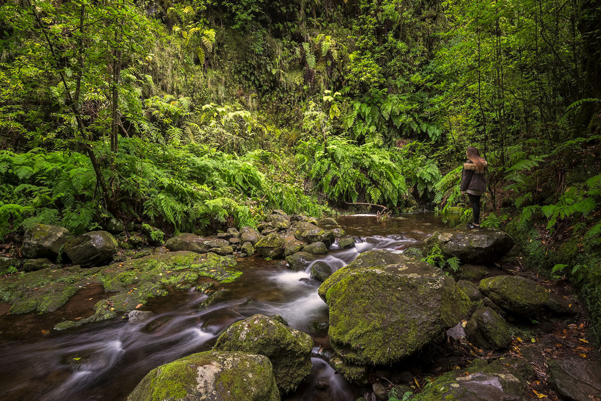 Comparison of trail runners vs waterproof hiking boots on a wet Madeiran levada path