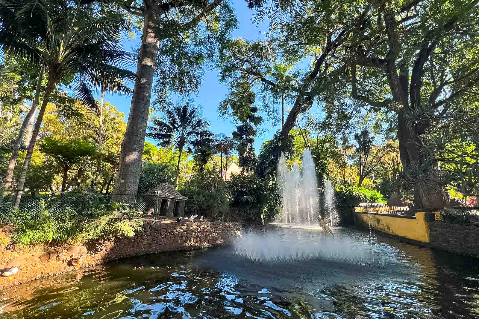 Funchal Municipal Garden