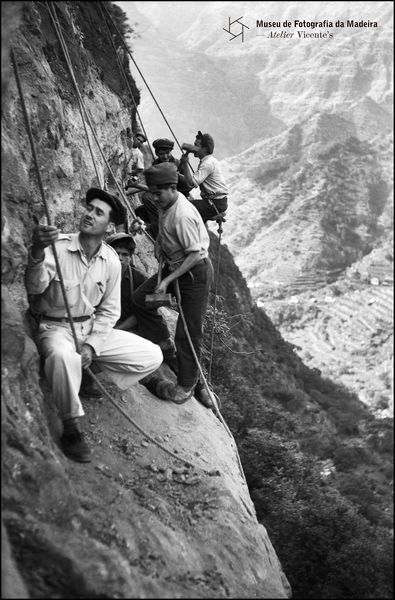 Walking along Madeira levadas