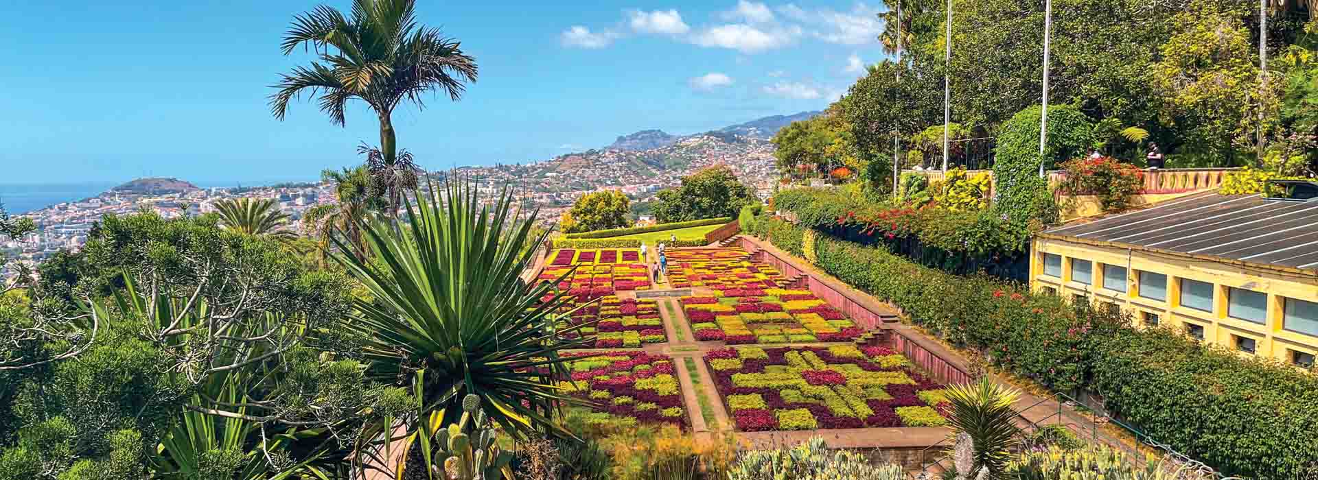 Jardim Botânico Funchal Botanical Garden terraced gardens plants five continents panoramic valley view peaceful cable car Madeira