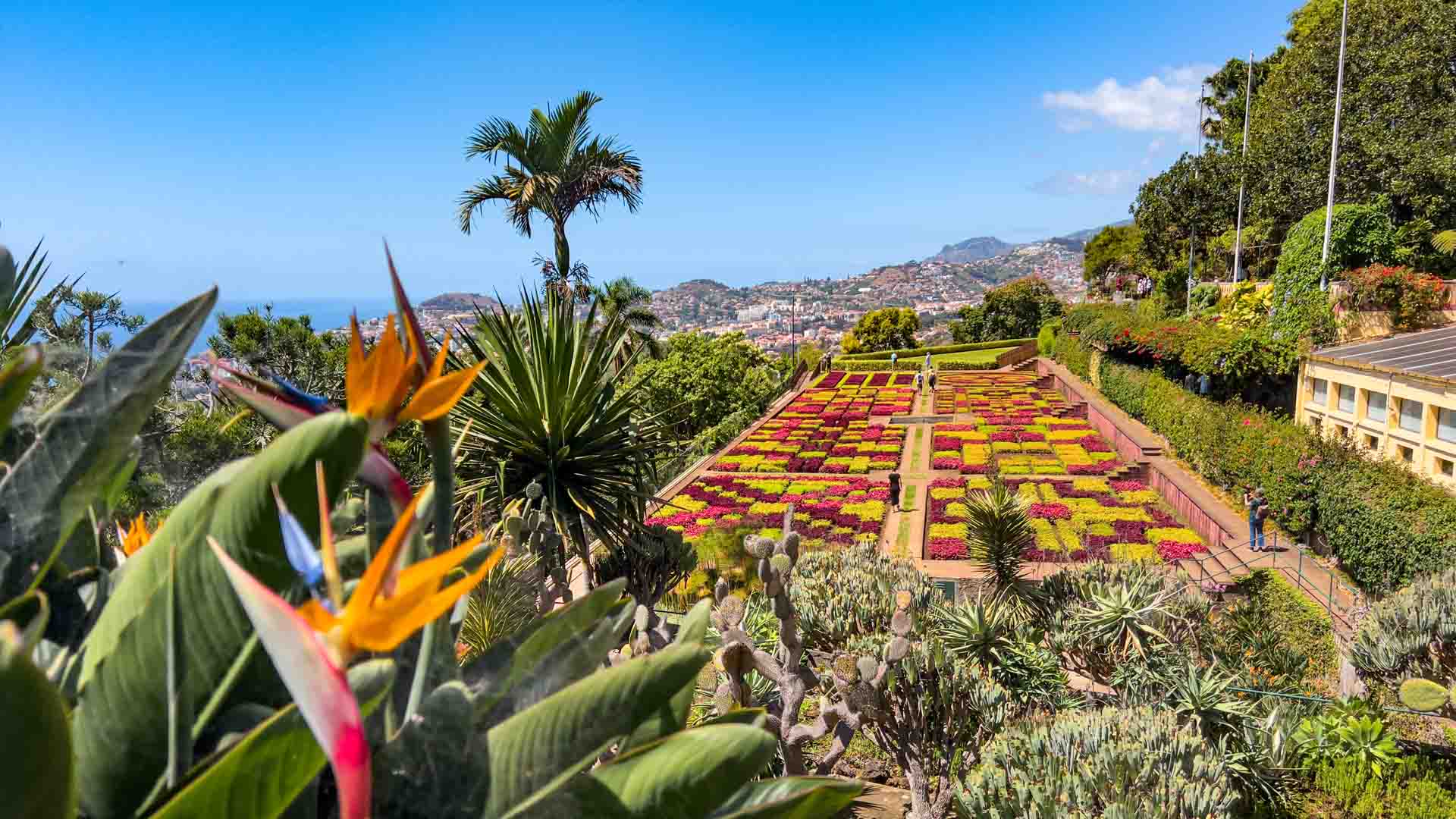 Madeira Botanical Garden