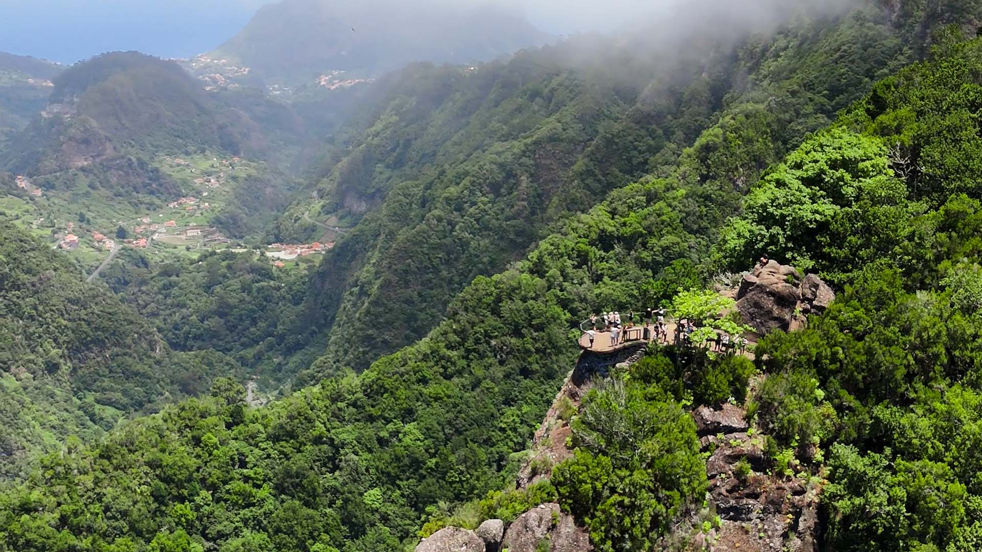 Laurissilva forest Madeira Ribeiro Frio