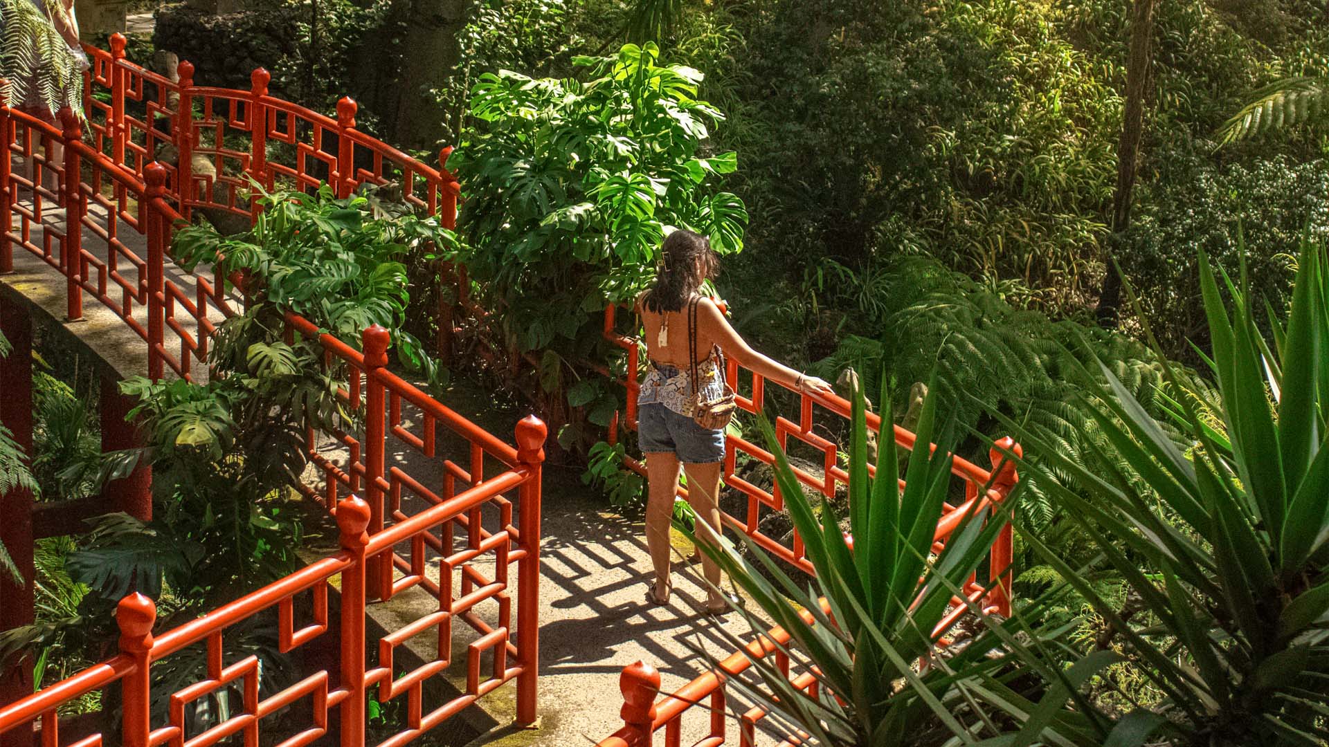 Monte Palace Tropical Garden Closed on December 14