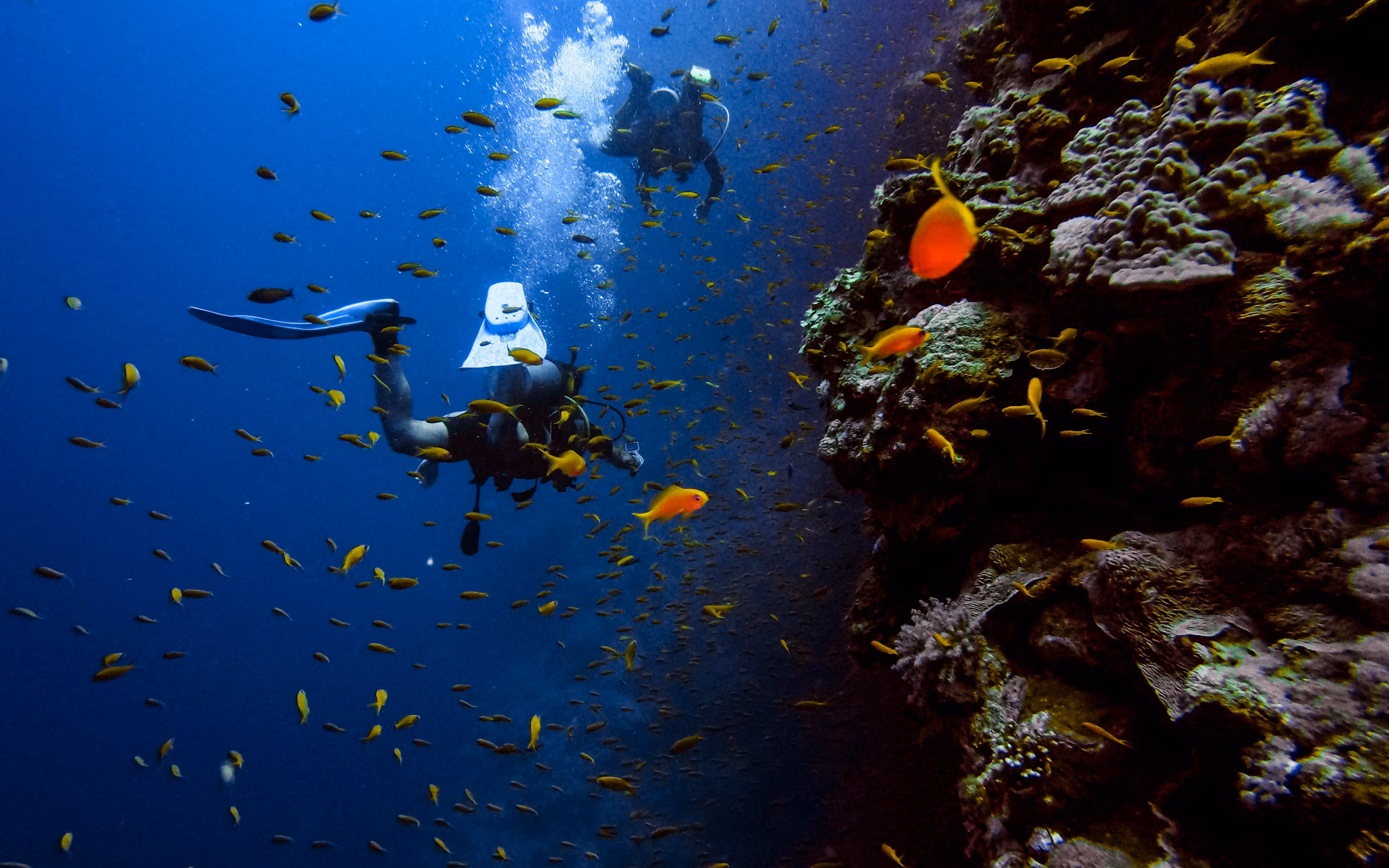 Try Scuba Diving Madeira