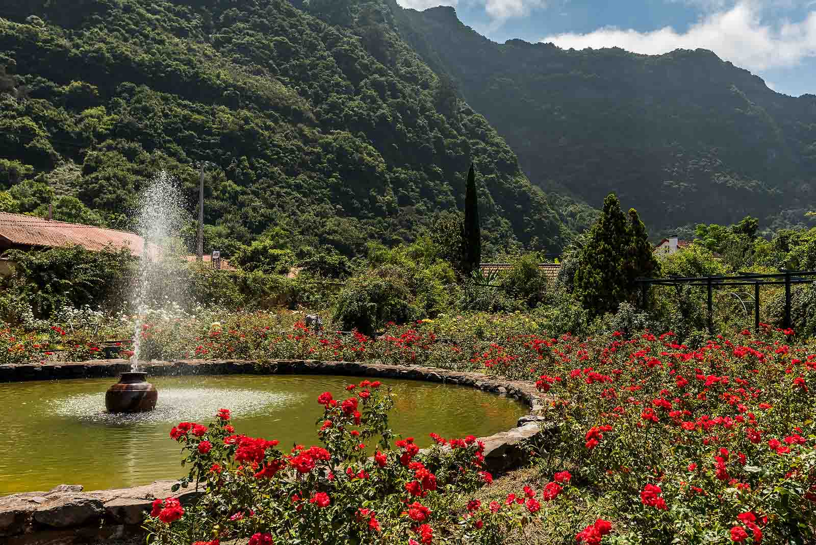 Quinta do Arco in São Jorge