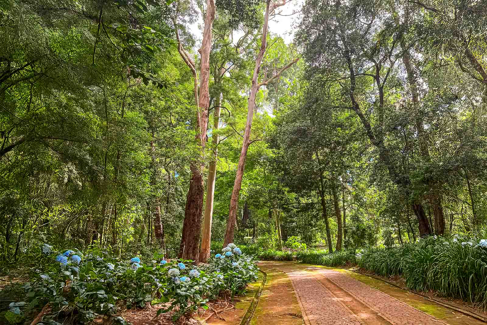 Quinta do Santo da Serra