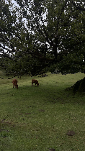 Photo from customer review