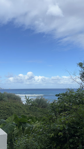 Photo from customer review