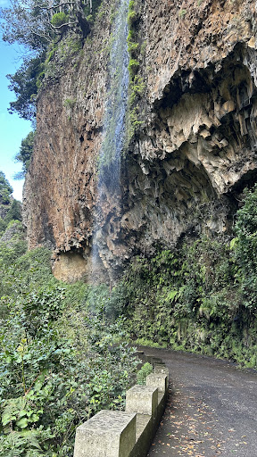 Photo from customer review