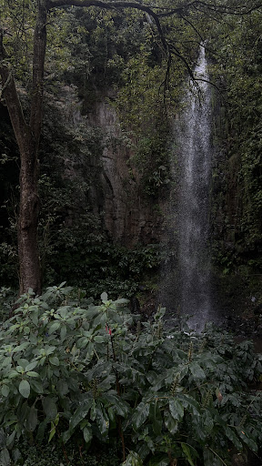 Photo from customer review