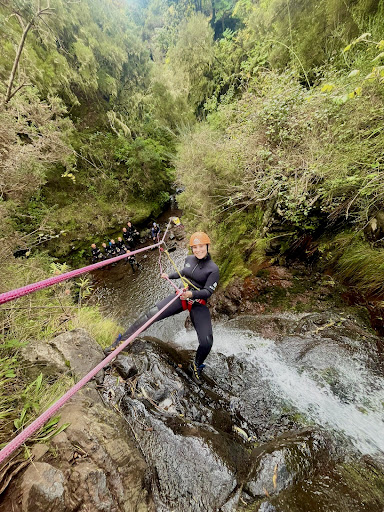 Photo from customer review