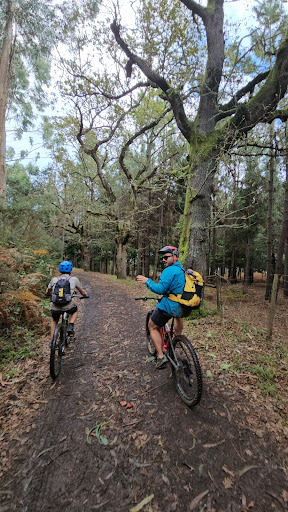 Photo from customer review