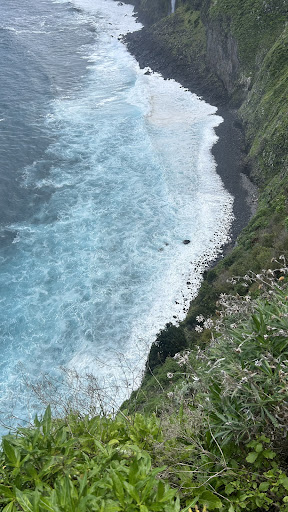 Photo from customer review