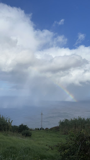 Photo from customer review