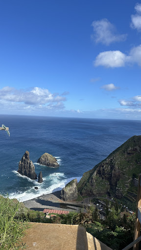 Photo from customer review