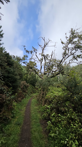 Photo from customer review