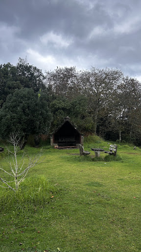 Photo from customer review