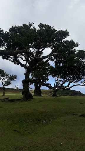 Photo from customer review