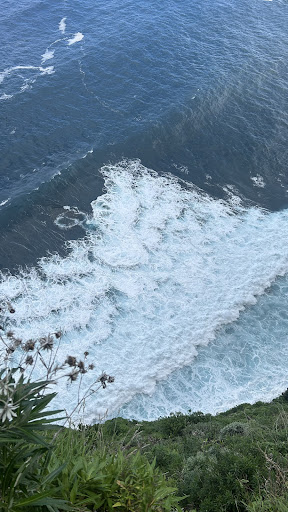 Photo from customer review