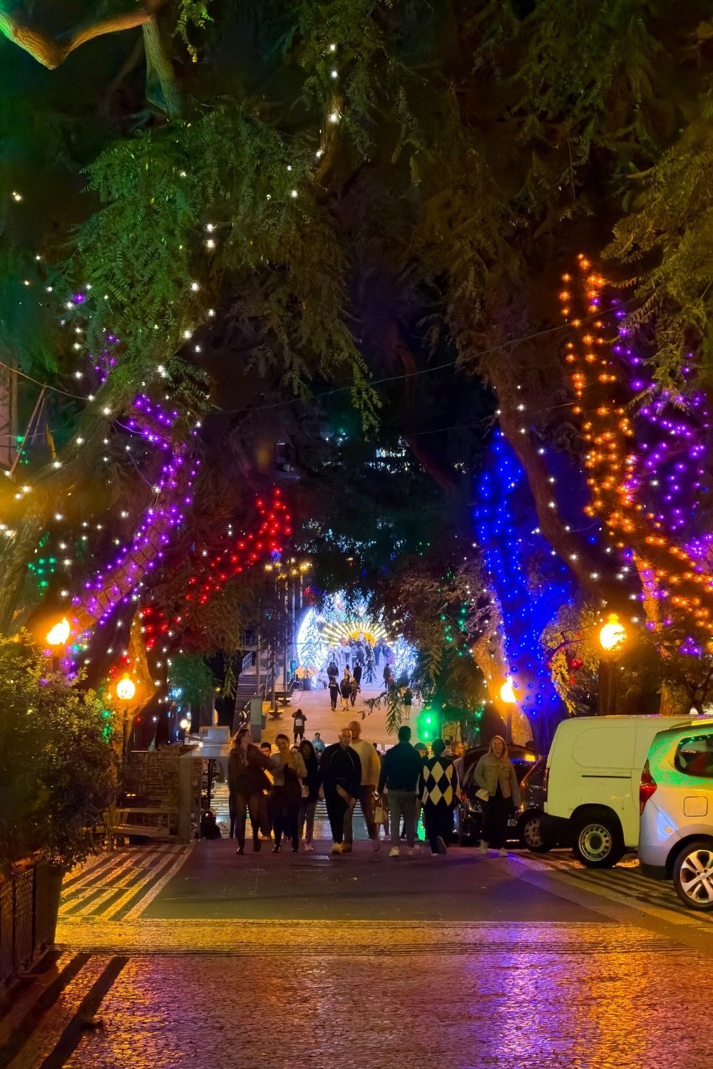 Avenida Zarco Christmas lights Funchal photo 1
