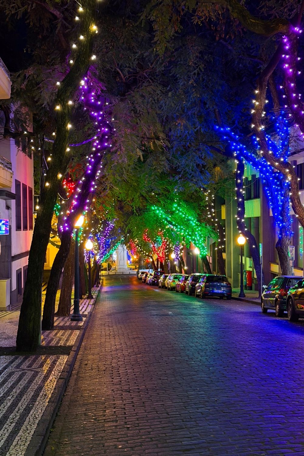 Avenida Zarco Christmas lights Funchal photo 2