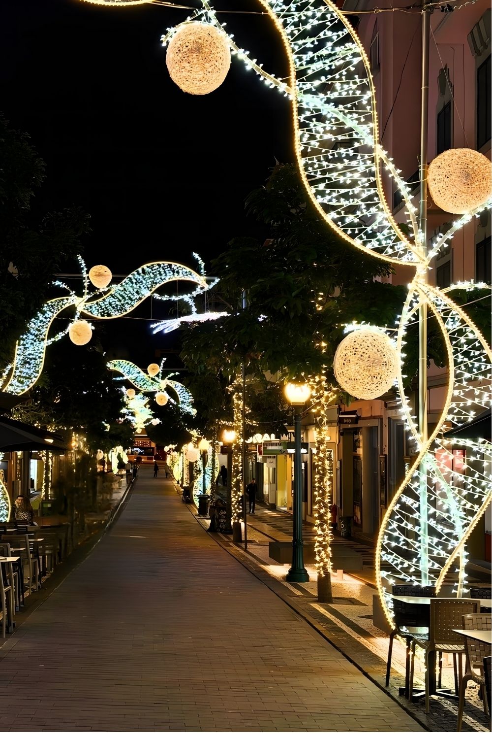 Avenida Zarco Fernão Ornelas Christmas lights Funchal