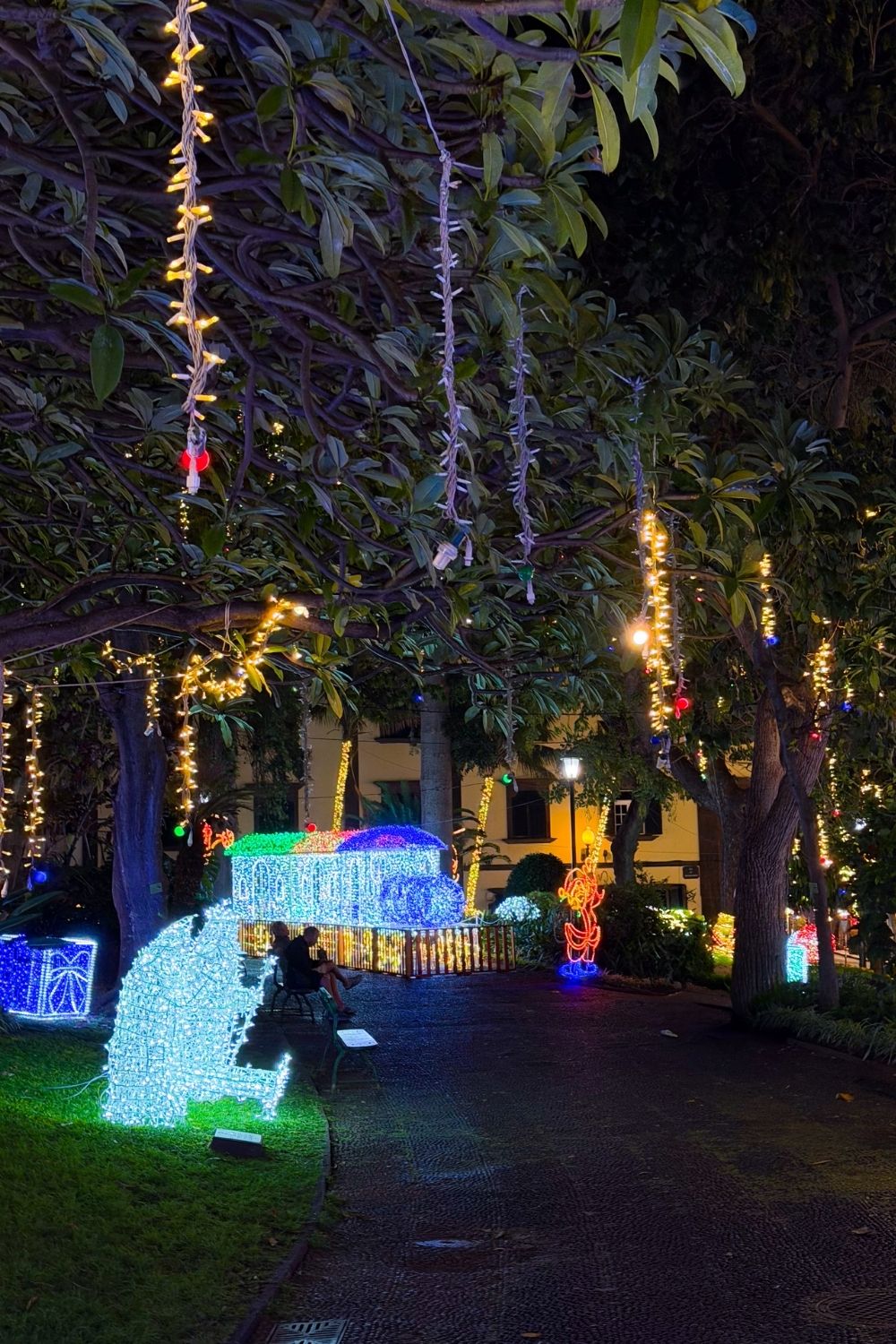 Jardim Municipal Christmas lights Funchal photo 1