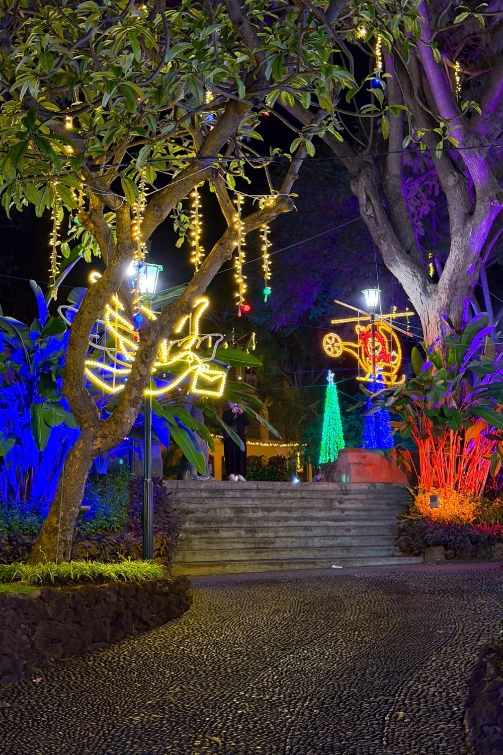 Jardim Municipal Christmas lights Funchal photo 2