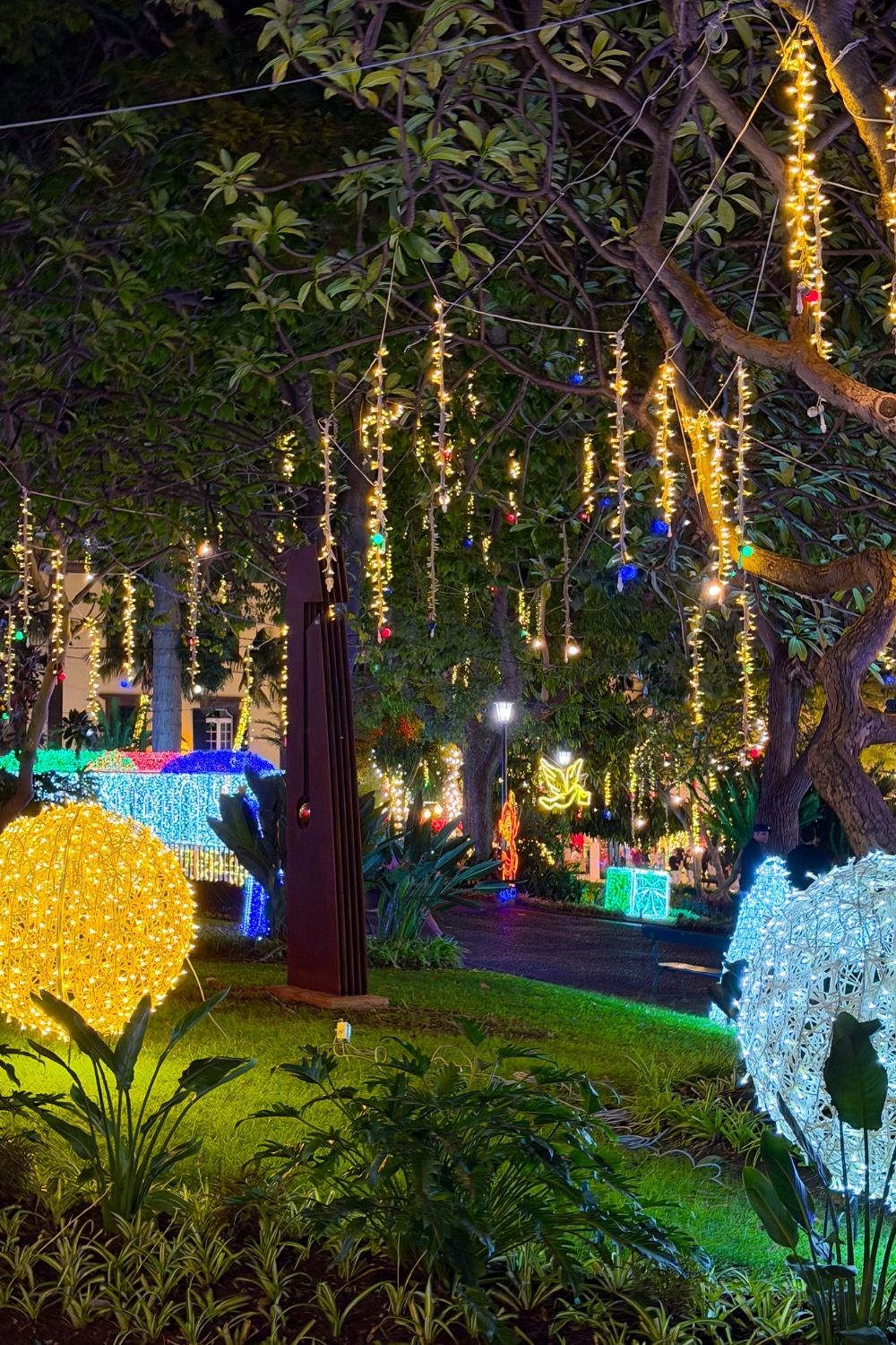 Jardim Municipal Christmas lights Funchal photo 4