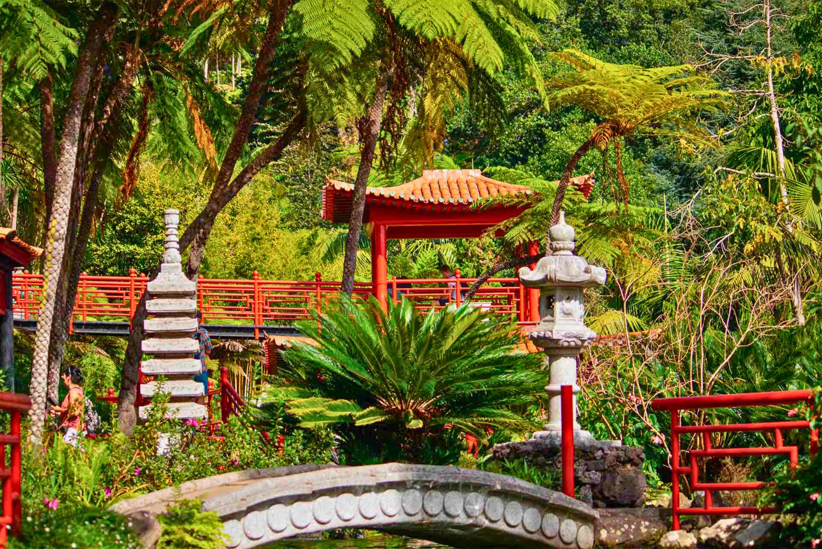 Monte Palace Tropical Garden Madeira oriental inspired design exotic plants koi ponds azulejo tiles serene pathways botanical paradise
