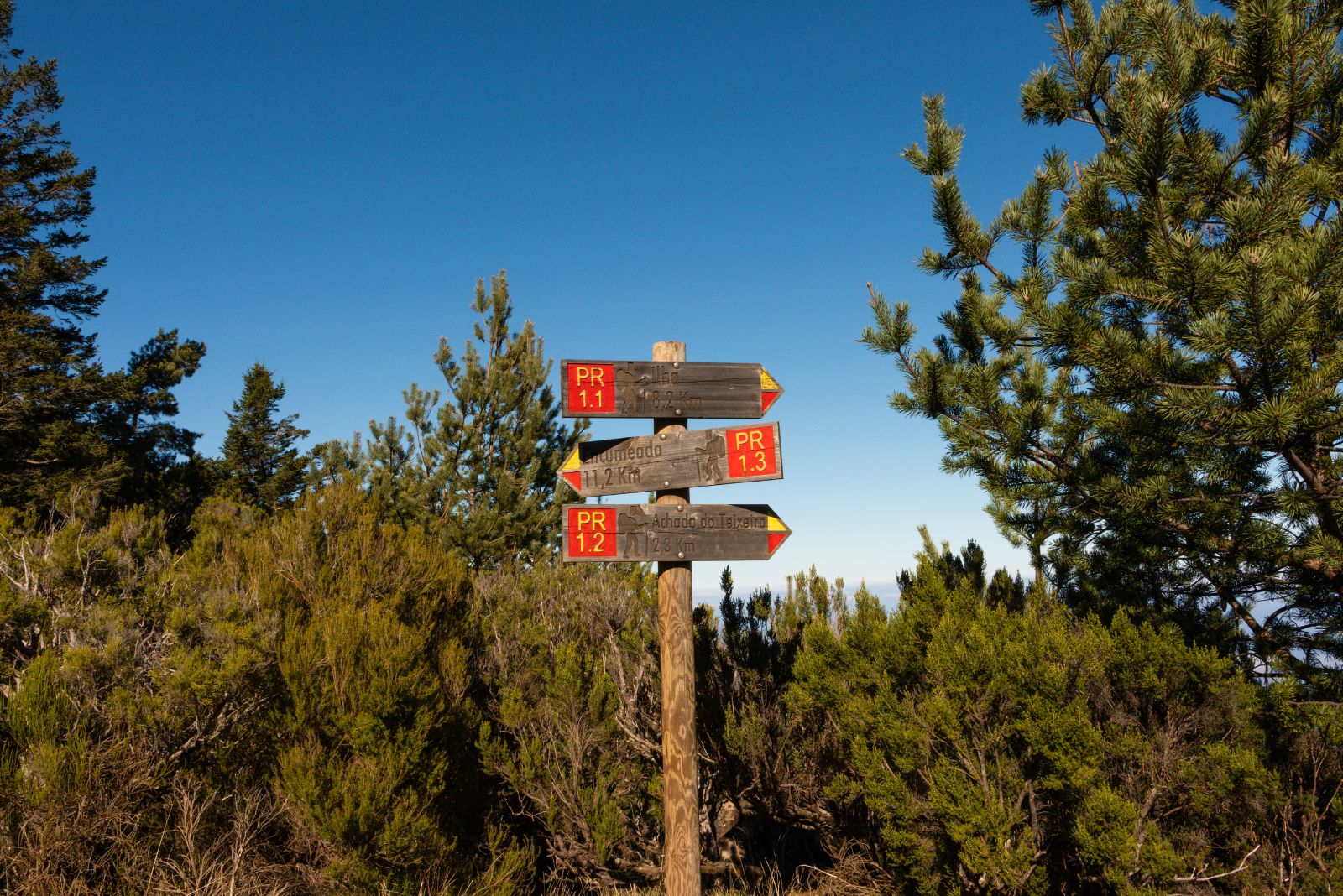 Madeira Hiking Fee Set at €4.5 Minimum for 2026