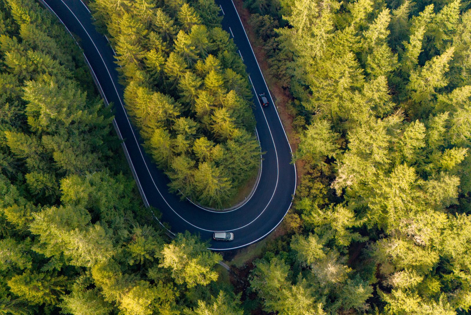 Renting a Car in Madeira: 12 Practical Tips for 2026