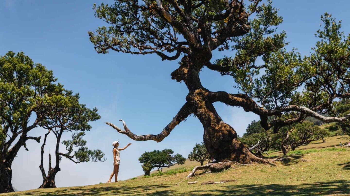 Madeira island planning and routes