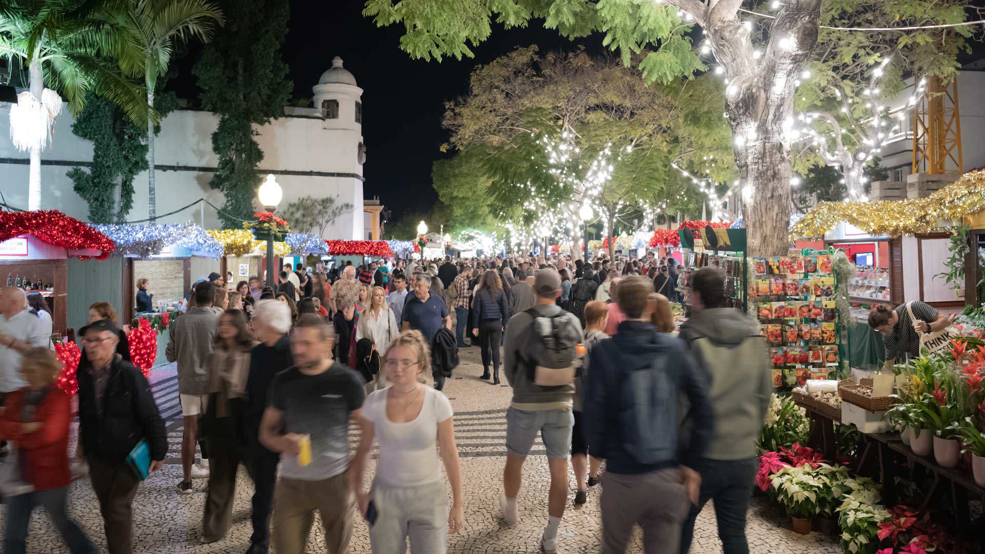 Christmas Lights in Funchal: A Walking Guide to Madeira’s Magical Streets (2025)