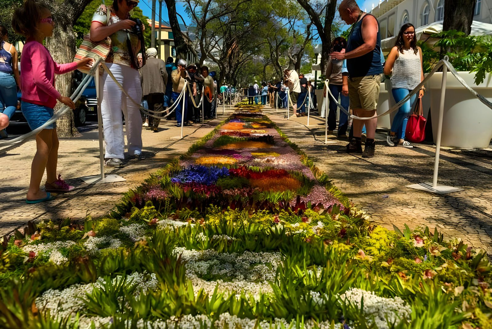 Madeira Flower Festival tapetes florais flower carpets Avenida Arriaga Funchal 2026