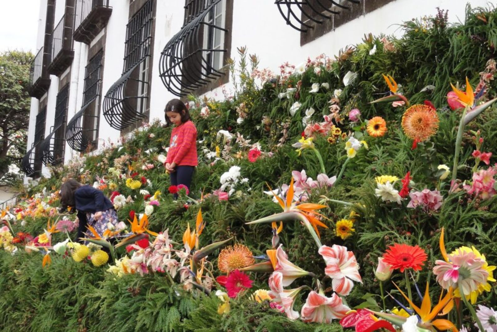 Muro da Esperança Madeira Flower Festival children carrying flowers to Praça do Município Funchal